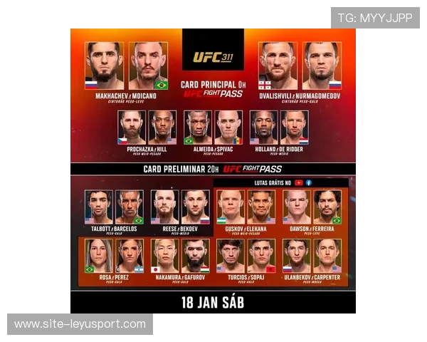 UFC训练营专注抗击打能力提升，模拟训练逐渐加码