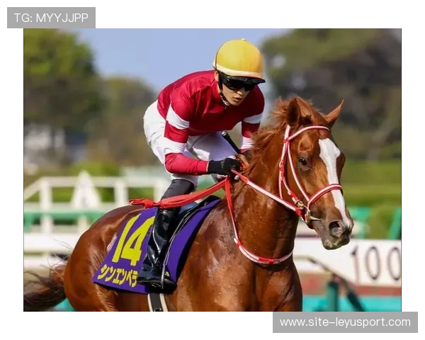 伊朗骑手吉塔·日特科维奇荣获2024年最佳障碍赛骑手奖,表彰其卓越表现。 伊朗骑手吉塔·日特科维奇荣获2024年最佳障碍赛骑手奖,表彰其卓越表现。