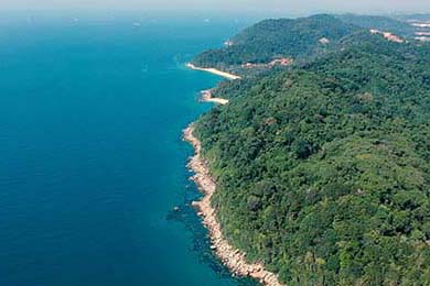 探索未来：澳大利亚队如何在国际赛场上打破瓶颈，澳大利亚队员