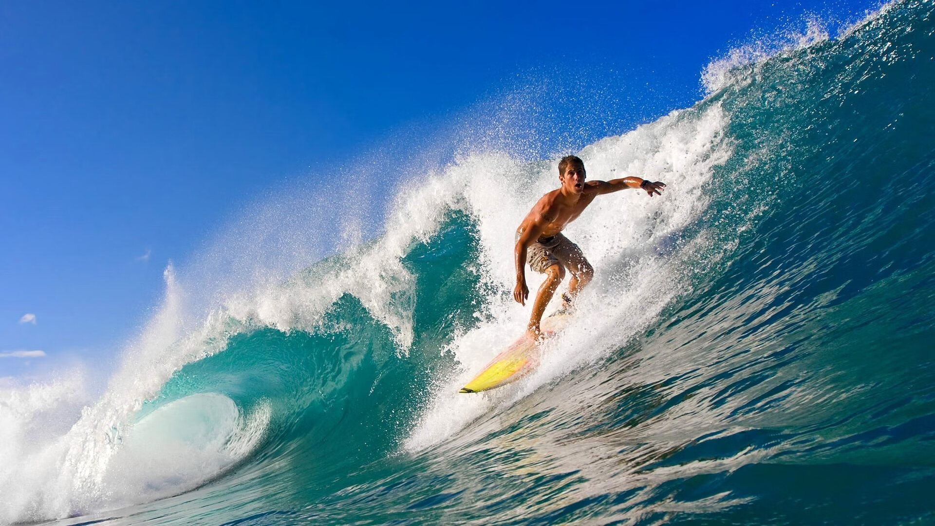技术节奏图显示蛙泳冠军控制完美，蛙泳冠军视频欣赏